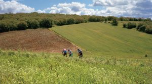 An image of field workers