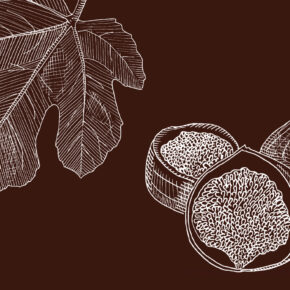 APIVITA_BODY CARE_DESIGN BY DKD STUDIO-07