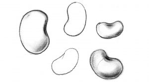 An image of Sporos Beans Illustration, designed by DKD.