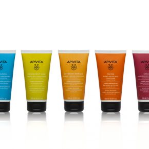 APIVITA Conditioners by DKD