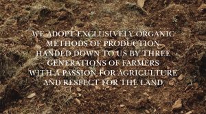 An image of Oros strapline, designed by DKD.