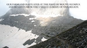 An image of Olympus mountain