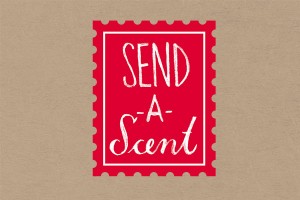 Send a Scent brand identity, designed by DKD.