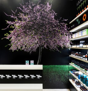 An image of Apivita's store design