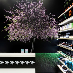 APIVITA STORE DESIGN