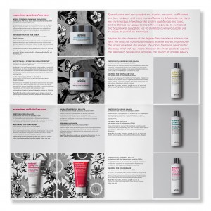 An image of aeolis skin care brochure, designed by DKD.