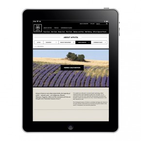 ipad02web