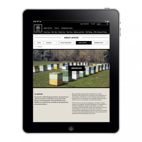 ipad03web