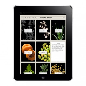 ipad04web