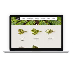 An image of Oros website, designed by DKD.