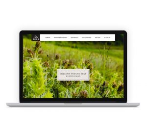 An image of Oros website, designed by DKD.