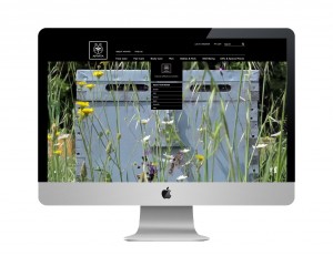 An image of Apivita's website, designed by DKD.